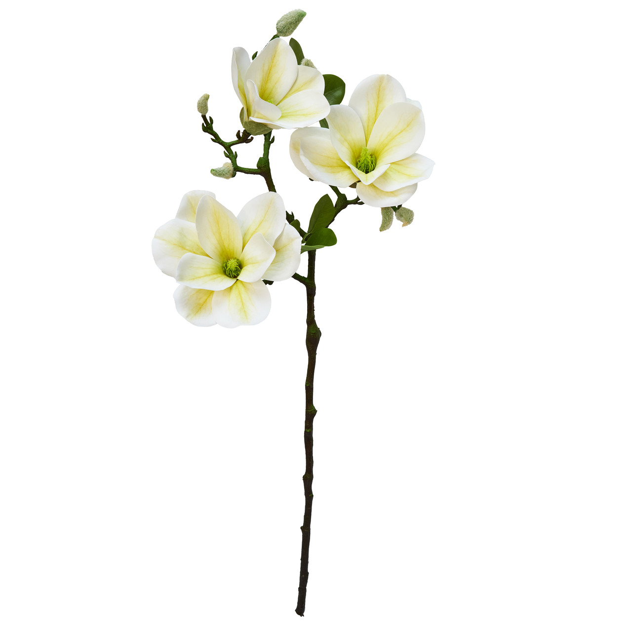 Штучна квітка Магнолія, 1 гілочка - 3 квітки, 55 см, полімерний матеріал, білий (632441), фото 1