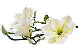 Штучна квітка Магнолія, 1 гілочка - 3 квітки, 55 см, полімерний матеріал, білий (632441), фото 2