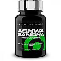 Ашфаганда для спорта Scitec Nutrition Ashwagandha 60 Caps OM, код: 8263150