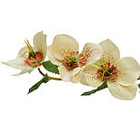 Штучна квітка Чемерник, 38 см, полімерний матеріал, білий (632502), фото 2