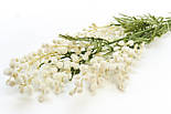Штучна квітка Акація, 88 см, полімерний матеріал, білий (632519), фото 2