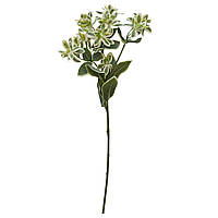 Штучна рослина Молочай, 45 см, полімерний матеріал, зелений (632526)