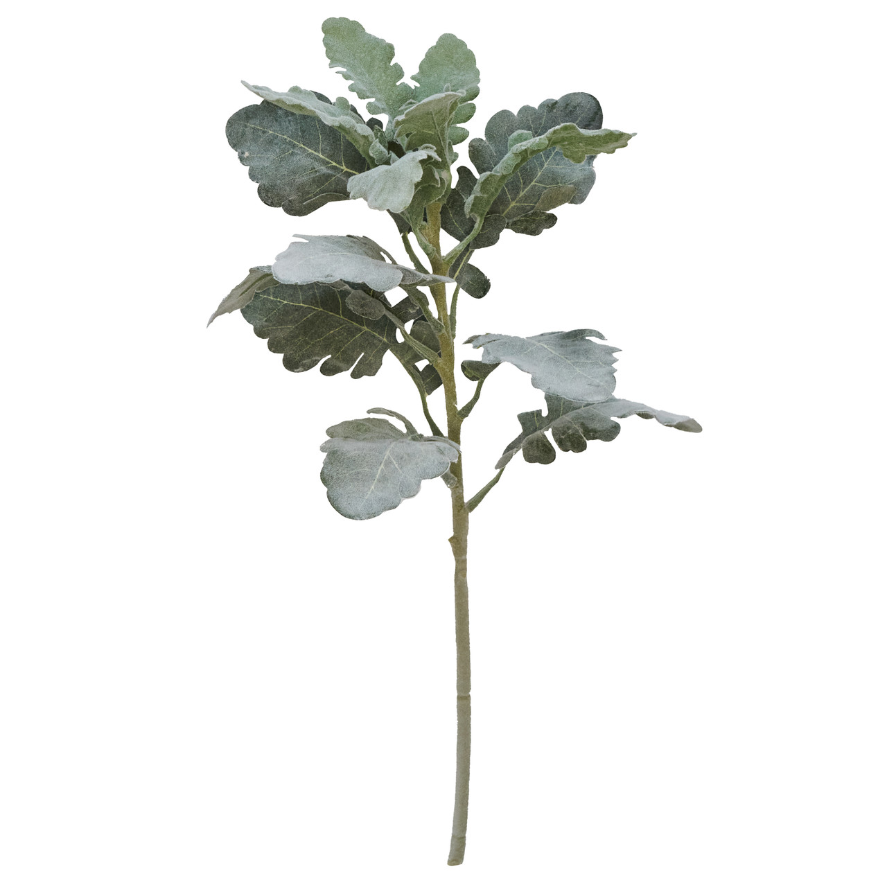 Штучна гілочка, Цинерарія приморська, 46 см, полімерний матеріал, зелений (632533), фото 1