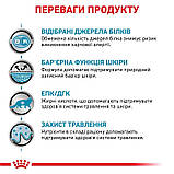 Сухой корм для дорослих котів Royal Canin Sensitivity Control Cat 1.5 кг, фото 2