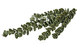 Штучна гілочка, Евкаліпт, 86 см, полімерний матеріал, зелений (632557), фото 2