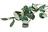 Штучна гілочка, Евкаліпт, 93 см, полімерний матеріал, зелений (632564), фото 2