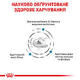 Сухий корм для дорослих котів Royal Canin Skin & Coat Cat 400 г, фото 2