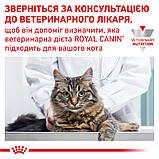 Сухий корм для дорослих котів Royal Canin Skin & Coat Cat 400 г, фото 9