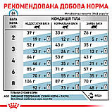 Сухий корм для дорослих котів Royal Canin Skin & Coat Cat 400 г, фото 6