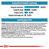 Сухий корм для дорослих котів Royal Canin Skin & Coat Cat 400 г, фото 7
