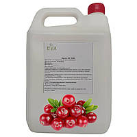Концентрированный сок Eva Клюквенный 5 л 6,5 кг IN, код: 7701890