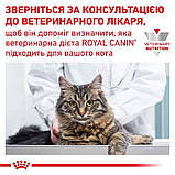 Сухий корм для дорослих котів Royal Canin Gastro Intestinal Moderate Calorie Cat 400 г, фото 10