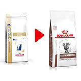 Сухий корм для дорослих котів Royal Canin Gastro Intestinal Fibre Response 4 кг, фото 2