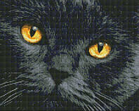 Алмазная мозаика Янтарные глаза 40x50 см на подрамнике Ideyka