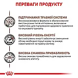 Сухий корм для дорослих котів Royal Canin Gastro Intestinal Cat 4 кг, фото 3