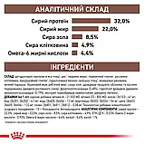 Сухий корм для дорослих котів Royal Canin Gastro Intestinal Cat 4 кг, фото 4