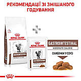 Сухий корм для дорослих котів Royal Canin Gastro Intestinal Moderate Calorie Cat 400 г, фото 4