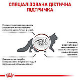 Сухий корм для дорослих котів Royal Canin Gastro Intestinal Moderate Calorie Cat 400 г, фото 7