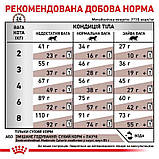 Сухий корм для дорослих котів Royal Canin Gastro Intestinal Moderate Calorie Cat 400 г, фото 9