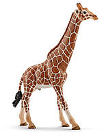 Игровая фигурка Schleich Жираф 127х44х170 мм (6688190) UD, код: 8256287