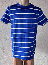 Футболка чоловіча в смужку (васильце)