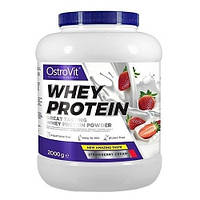 Протеин OstroVit Whey Protein 2000 g 66 servings Strawberry Cream XN, код: 7808990