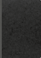 БлокнотBrunnen А4 в клетку FACTplus 96 листов Черный UP, код: 1937731