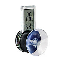 Термометр-гигрометр Trixie электрический для террариума на присоске (4011905761152) PS, код: 7573668