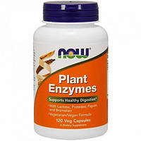 Травні ферменти NOW Foods Plant Enzymes 120 Veg Caps NOW-02966 SC, код: 7518528