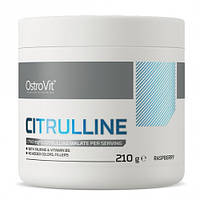 Цитруллин для спорта OstroVit Citrulline 210 g 70 servings Raspberry GG, код: 7520389