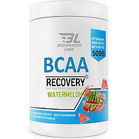 Аминокислота BCAA для спорта Bodyperson Labs BCAA Recovery 500 g 50 servings Watermelon UP, код: 8028226