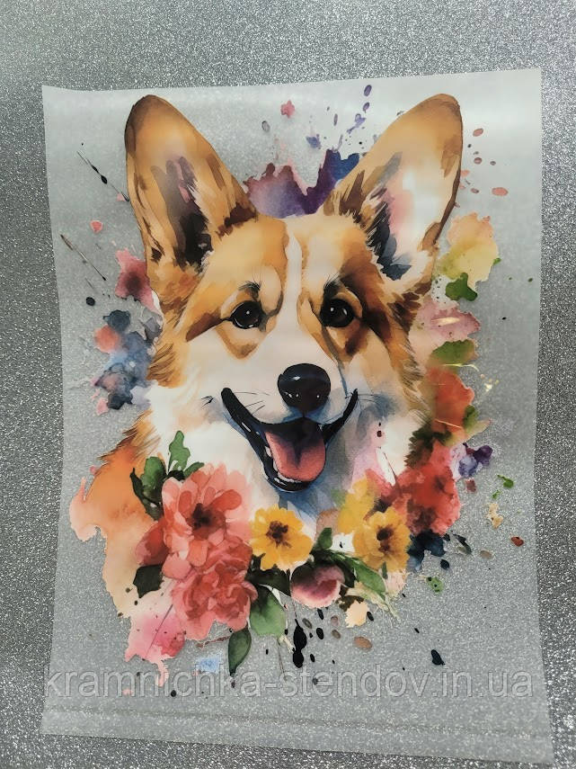 Термонаклейка на одяг, фото 1