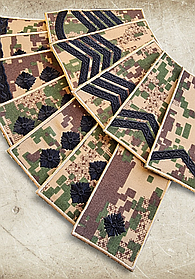 Погони армійські в ассортименті 50х100мм, Нового Зразка (Хижак)