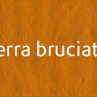 Картон Elle Erre А4 terra bruciata 19 (коричневий)