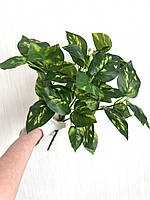 Штучний кущ — дифенбахія ( латекс, 40 см), фото 7