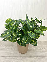 Штучний кущ — дифенбахія ( латекс, 40 см), фото 2