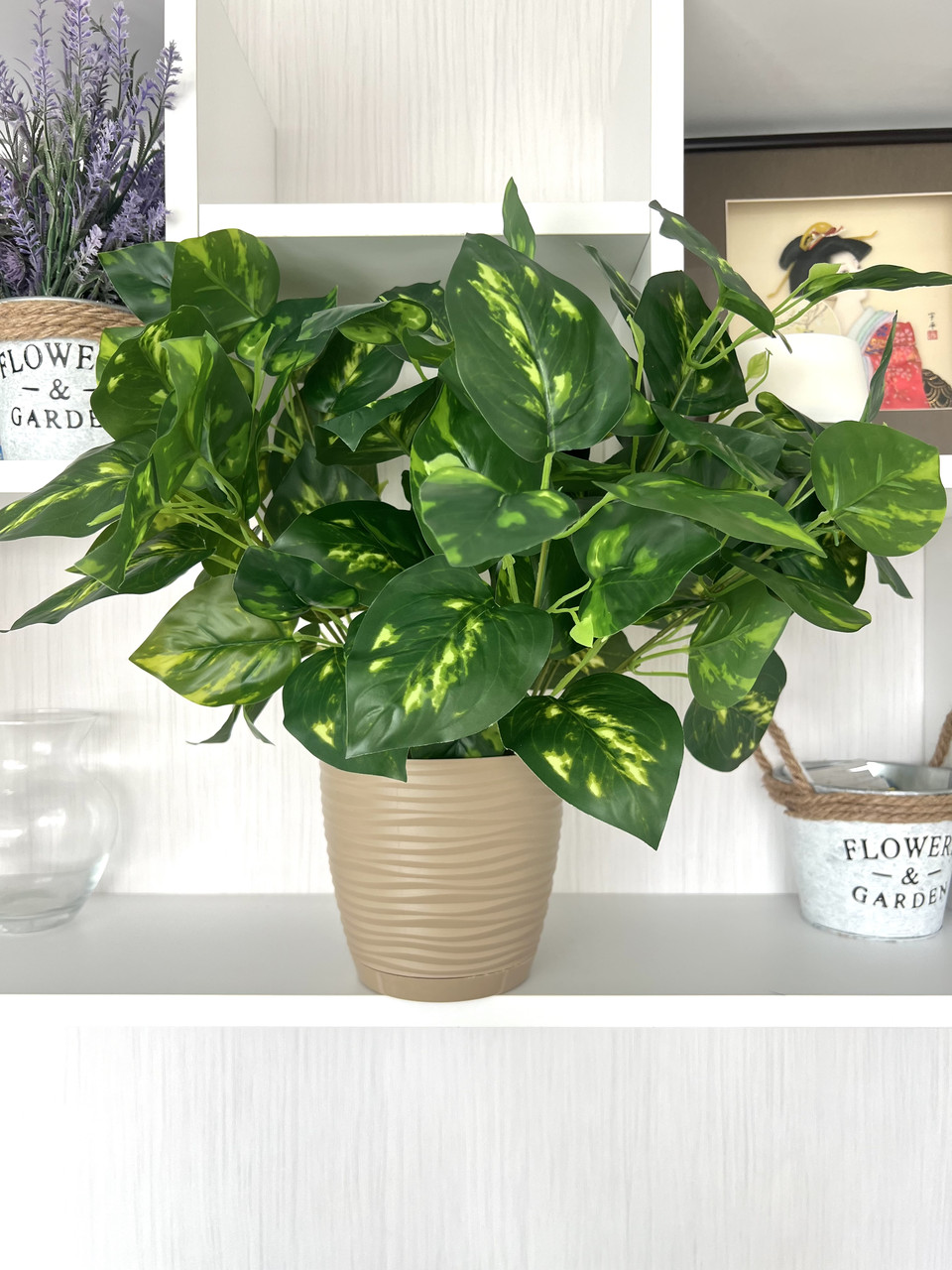 Штучний кущ — дифенбахія ( латекс, 40 см), фото 1