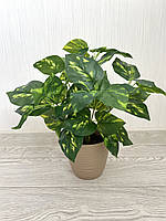 Штучний кущ — дифенбахія ( латекс, 40 см), фото 4