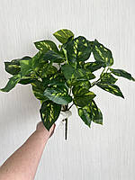 Штучний кущ — дифенбахія ( латекс, 40 см), фото 6