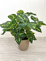 Штучний кущ — дифенбахія ( латекс, 40 см), фото 3