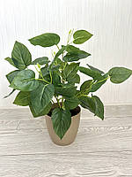 Штучний кущ - філодендрон ( латекс, 40 см), фото 3