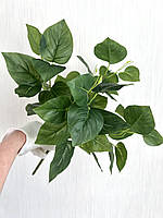 Штучний кущ - філодендрон ( латекс, 40 см), фото 5