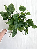 Штучний кущ - філодендрон ( латекс, 40 см), фото 7