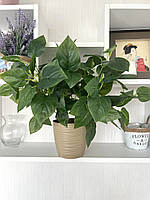 Штучний кущ - філодендрон ( латекс, 40 см), фото 2