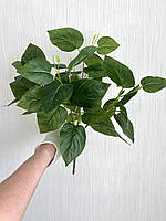 Штучний кущ - філодендрон ( латекс, 40 см), фото 6
