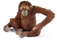Игровая фигурка Schleich Самка орангутанга 66х58х56 мм (6833880) FS, код: 8256356