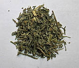 Полин звичайний 50 г, фото 2