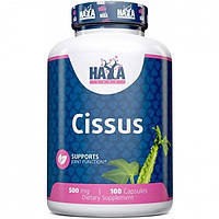 Антиоксидант Haya Labs Cissus 500 mg 100 Caps KV, код: 8175167