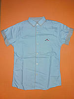 Рубашка Dast Gardin короткий рукав 134 см Голубой (ю110) QT, код: 1746677