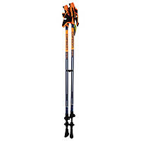 Палки для скандинавской ходьбы Birki Nordic Walking Carbon Vario 105-145 см Blue Orange EV, код: 8105978